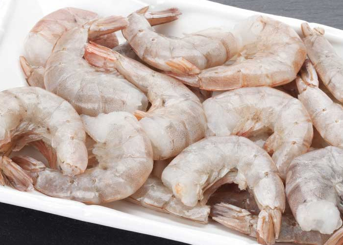 White Ecuadorian Shrimp from Karnivore Krate