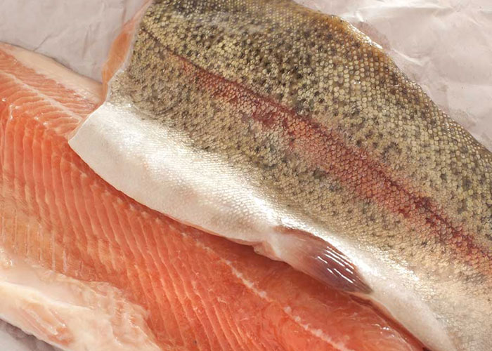 Rainbow Trout from Karnivore Krate